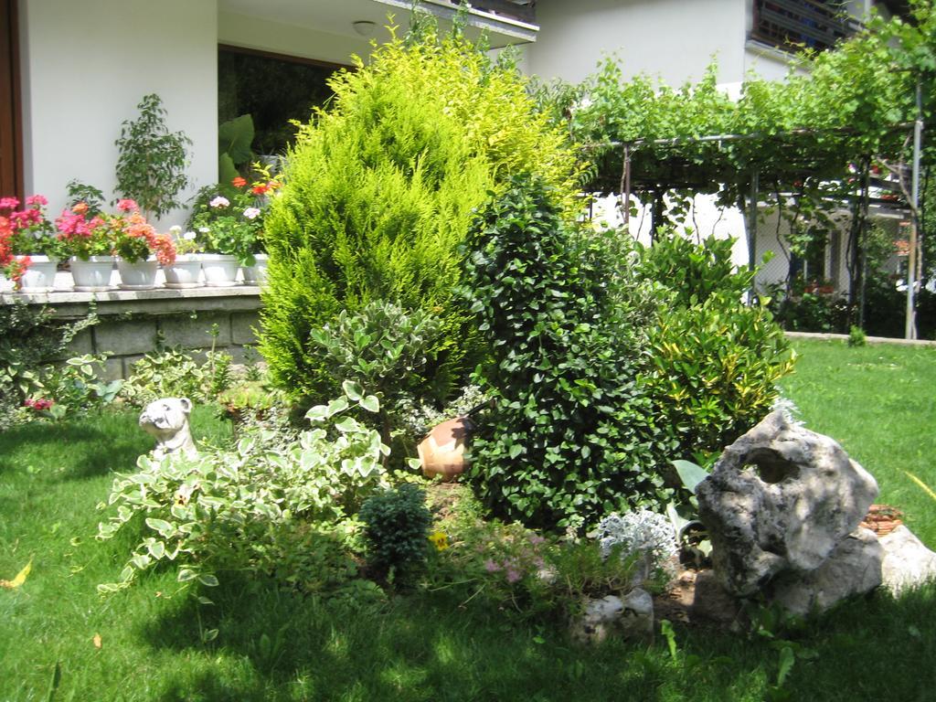 Slavina Guest House Sapareva Banya Exterior photo